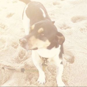 Meet your Posher, Lorna